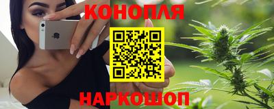 гидропоника Краснознаменск
