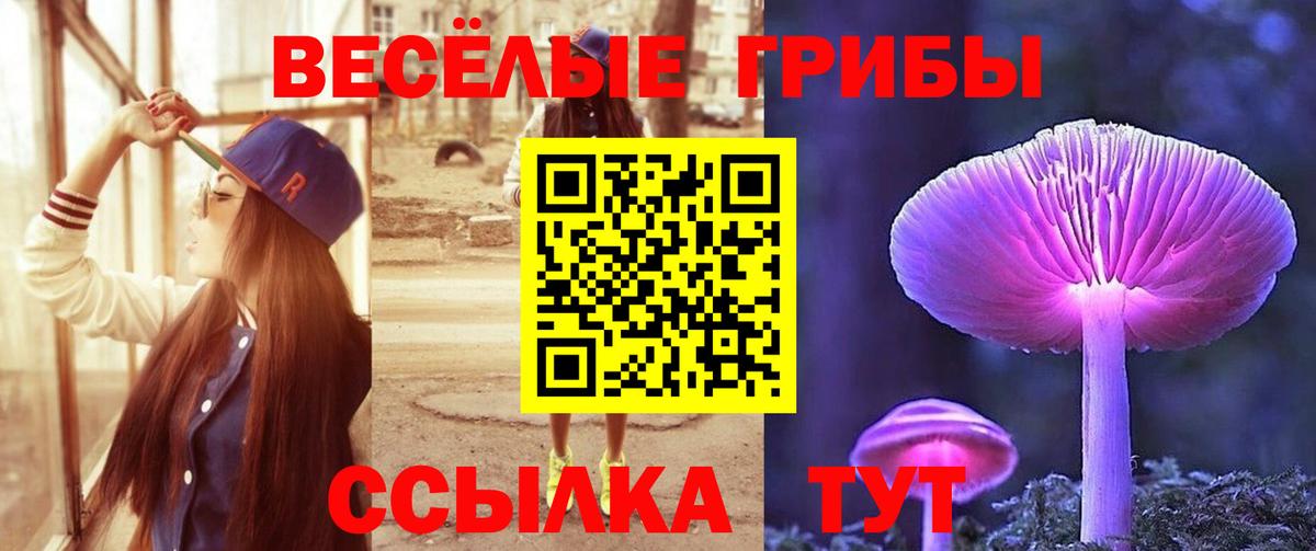 Псилоцибиновые грибы GOLDEN TEACHER  Псилоцибиновые грибы мицелий  купить наркоту  Каменск-Уральский  Вход с VPN 