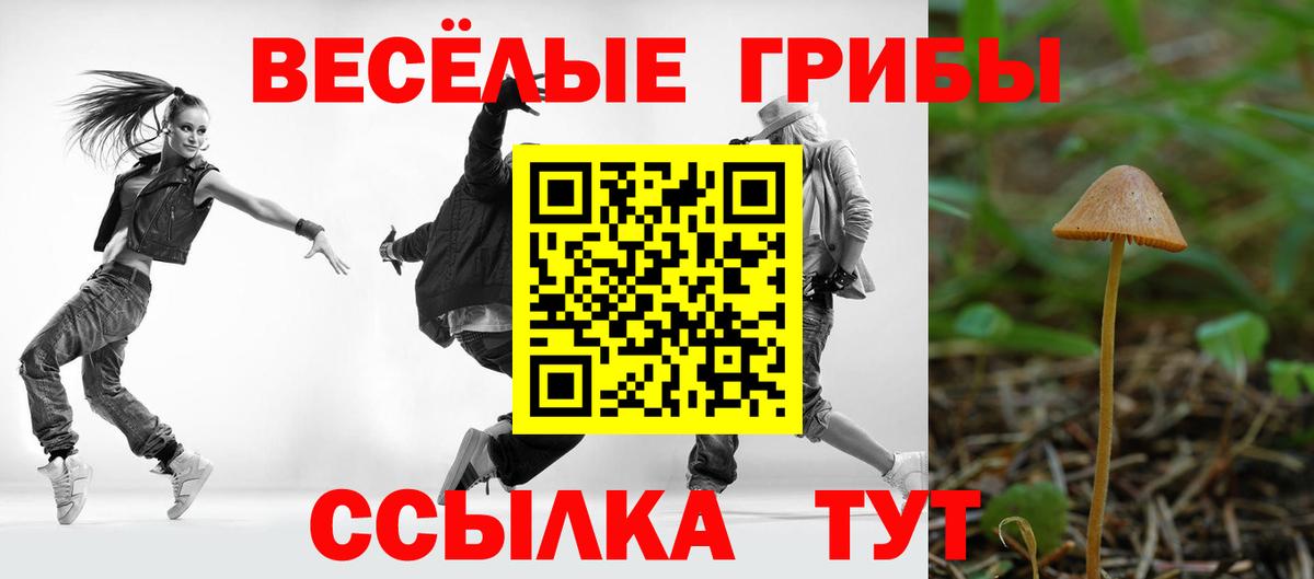 Псилоцибиновые грибы ЛСД Каменск-Уральский